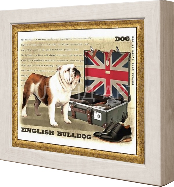 ���� �� 21.11. ������������ � ����������� �������. �����������, ��������. ����� ����-�����. ��������� �������� � ���������. ��������� �������. ����������� ������� ����� �� ������ �� ����������. ��������� ����.