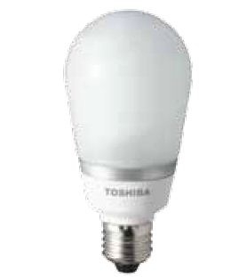���� ������� �� 13.11. ����� ����������� �� ����������������� �������� Toshiba.