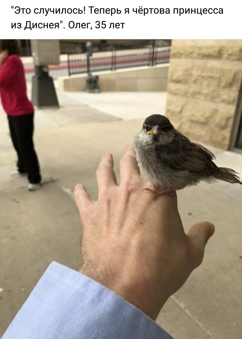 ������� ����