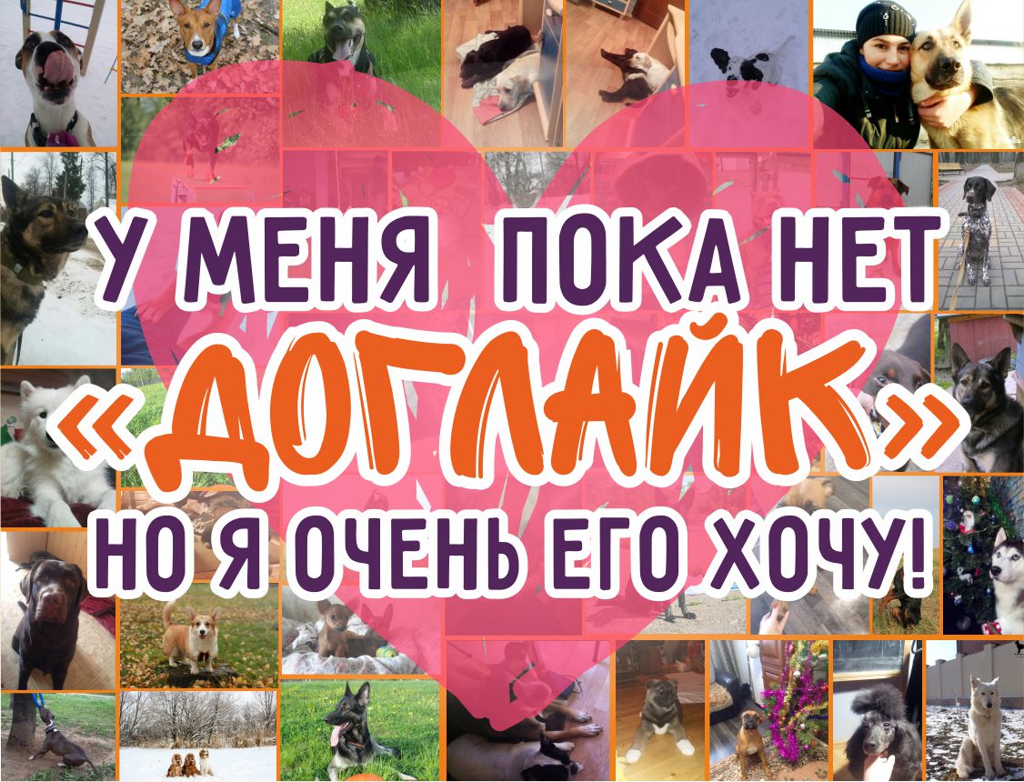 ������� ������� �� ����� ��� ����� ��������