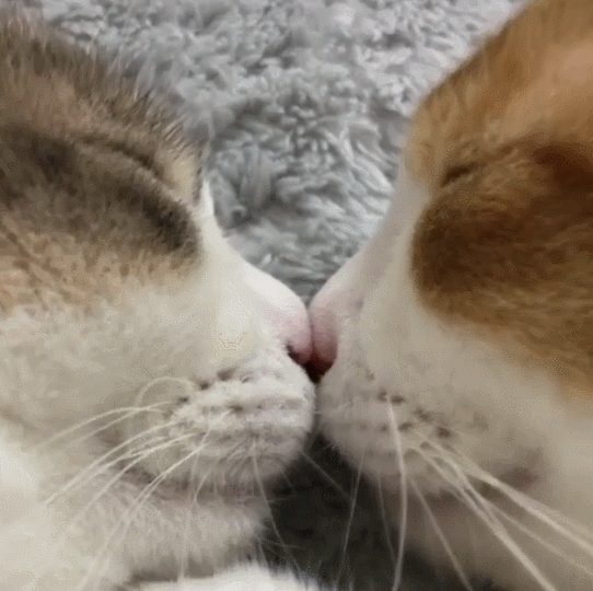 ����� "������ � ������" ��������: