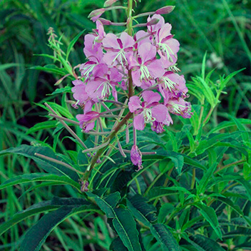 ���� ������� 20.11. ���������� ����-��� - ��������, ����� ������� ������� �� �������� ����!!������.