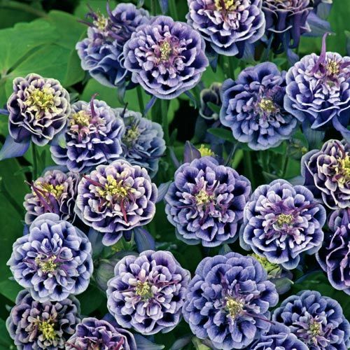 �������� ���������� ��������� ������� �� ���������.