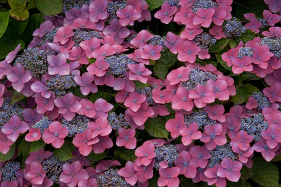 ������ ����!