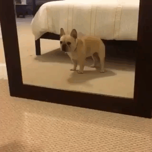 ����� ������ ���� � ������ ���� ���