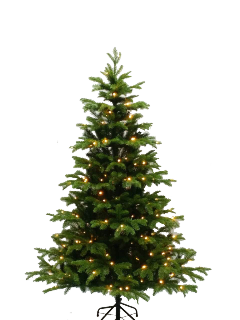 ���� �������. ����� ������������ ������������� ���