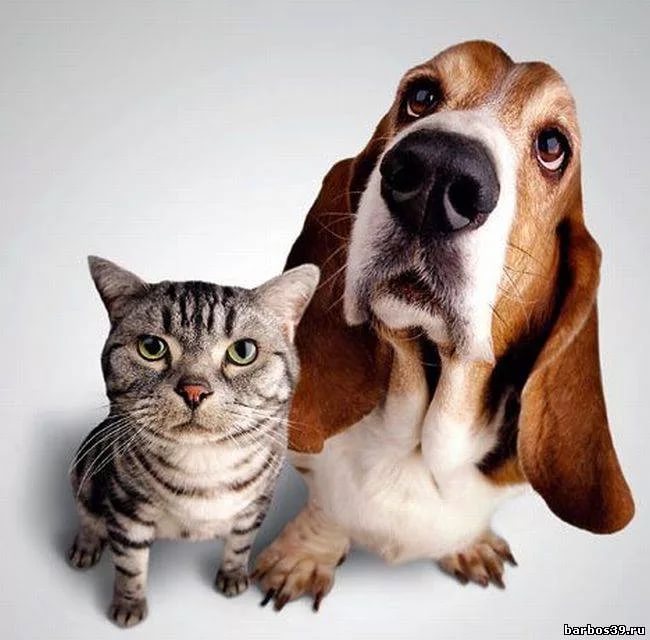 ���� �� 24.11. ��� ��� ����� � ����� �����, ���������, �������, ������, �������, ��������������� ������, ��������, �������� ����� � ������ Ti*tB*it. � ������ ������. ���� 05.