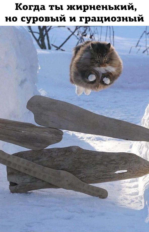 ������� ����