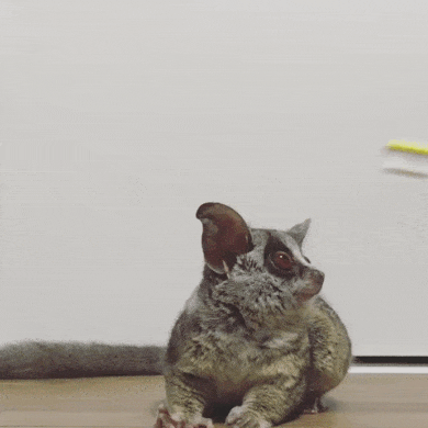 ��� ����� ����, � ��� ����� ����