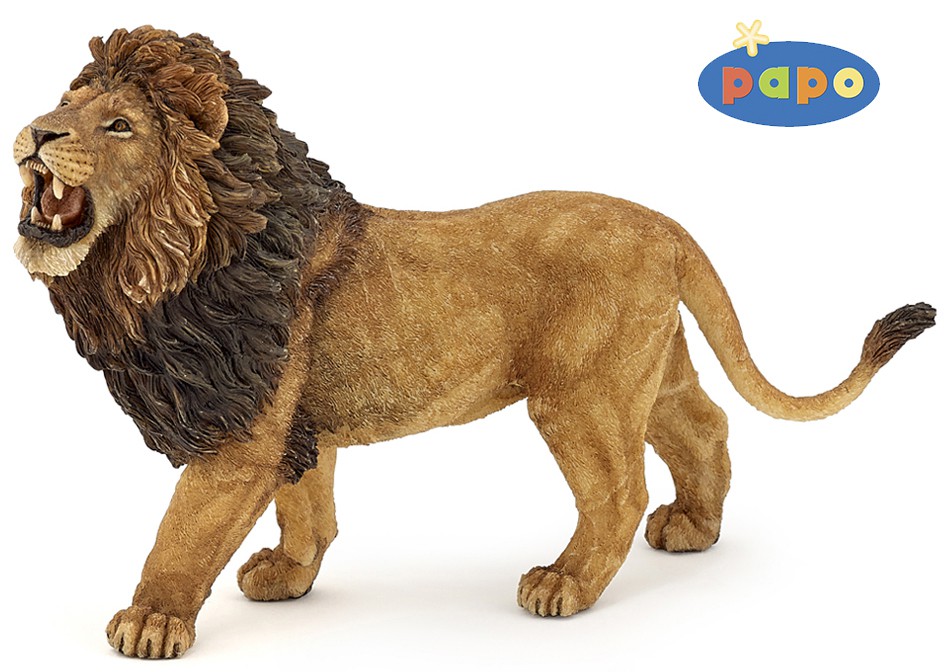 ���� �������. ������������ � ����� ������������ ������� � ���� ��������� �� �@�0! ���������� �� -50%! ����� 2/17 