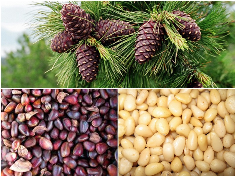 ����! �������� ������ ������� ������ ��� �������� �� �������������!.������ ����, �������� �������� ���� ���������.���������� ����, ����������� ����, ��������� �����, �������� ���.� ��� �� ���������� ����� � �������� �����. ����� 22 