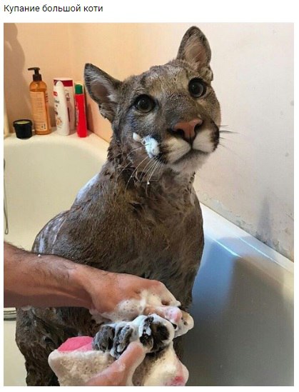 ������� ����