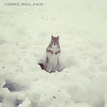 �����. �� ���� ���������� ������.