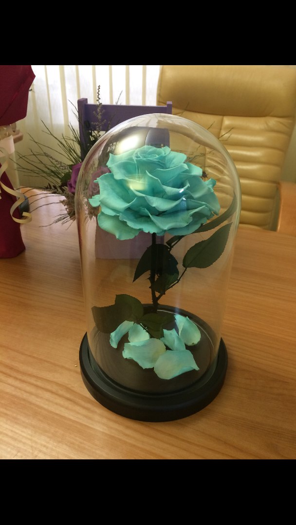 ���� �� 10 �������.���� � ����� �������� 5 ���!������� ������� � ���� ���!���� -���!!! ������� ��������,� � ���� �� ����.