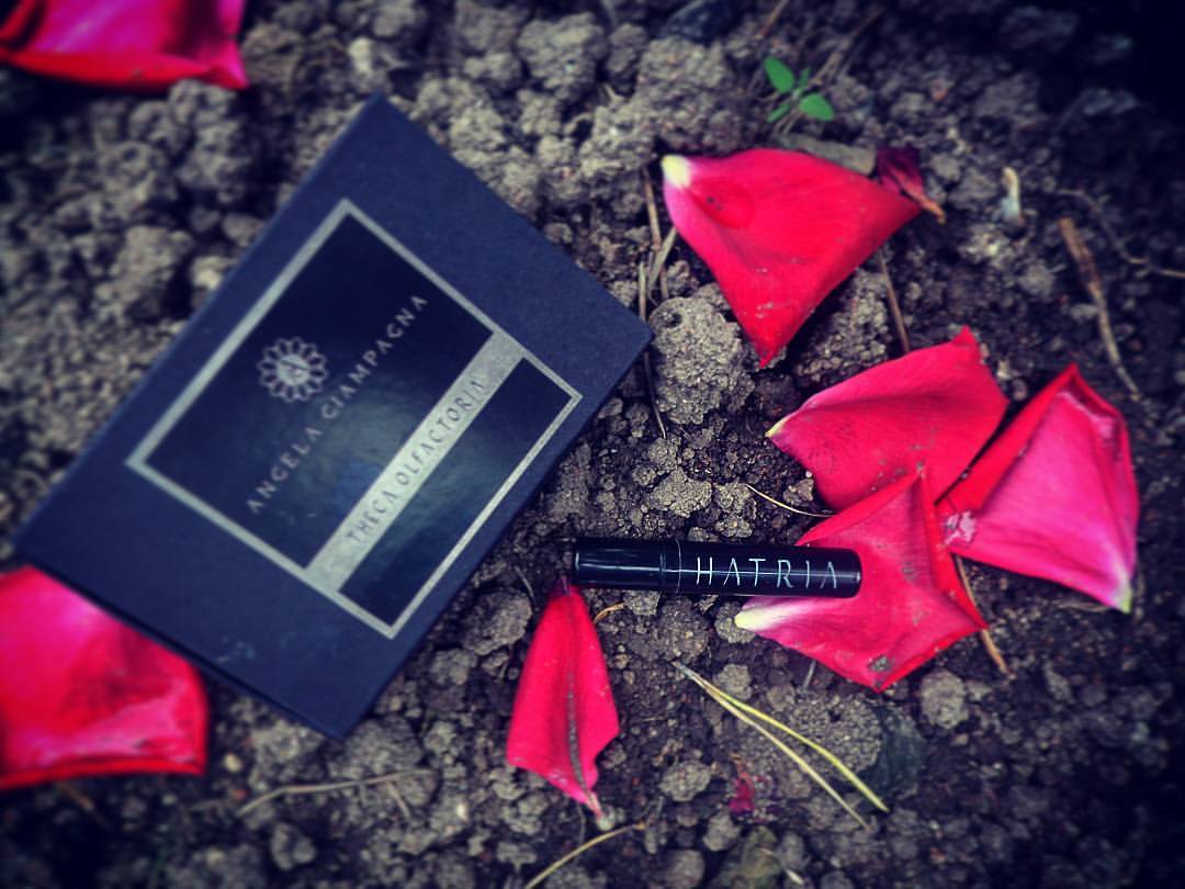 ����� �������������� ����. ����, ��������, ��. ��tria)