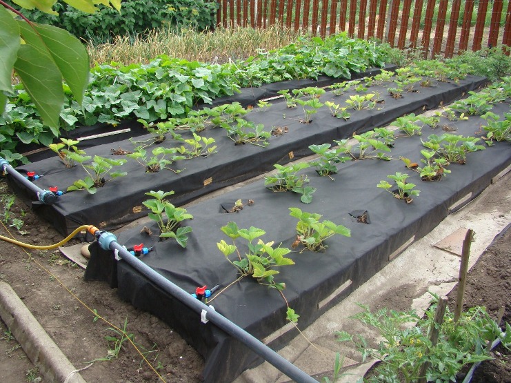 ��������� ���������� ����� ���������� �������� �� ����� 100 ��� ���������� 30 �� ��� ���� � ����