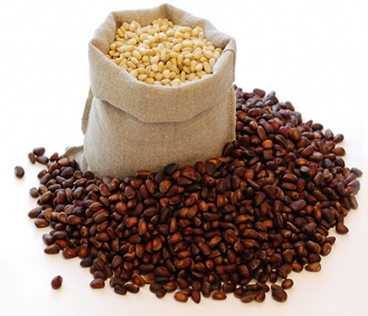 ���� �������.�������� ����������� - �������� ������ �������� �� �������������! ��������� ������, ������ ���� � ��������� ��������. ����� ������� �� ����� �������! �������� ����, ����������� ��� ���������� � ��������! ������ �������!-4