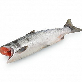 �������� - ���� ������� �� 28.11 ������ � ����� ���������� ��� ������, ������� ��������� 520 ���/�� � 780 ���/��