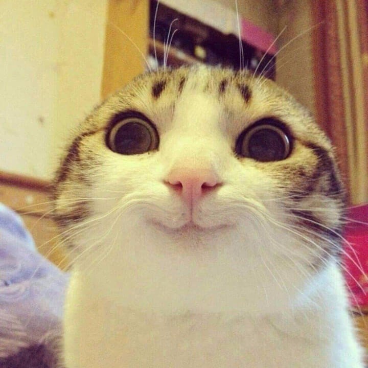 ������� �� ���������