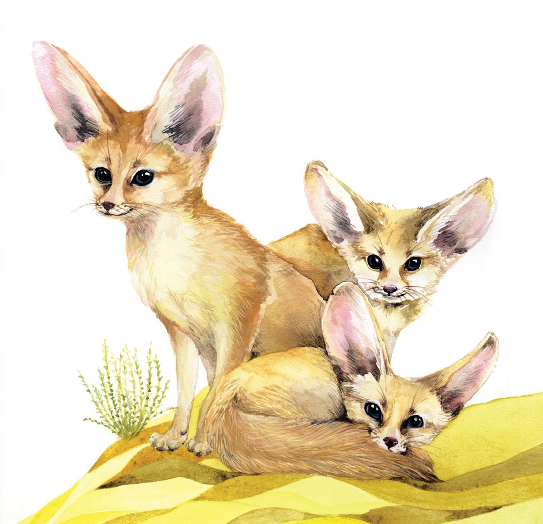 ��������� ������ � ������� �� ����� � ������