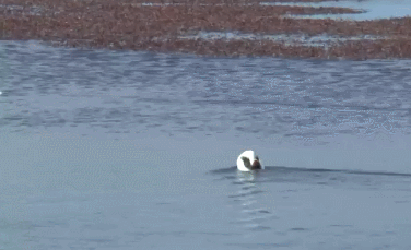 ����� ��ۣ� ������ �� ��������, ��� � �� ���.