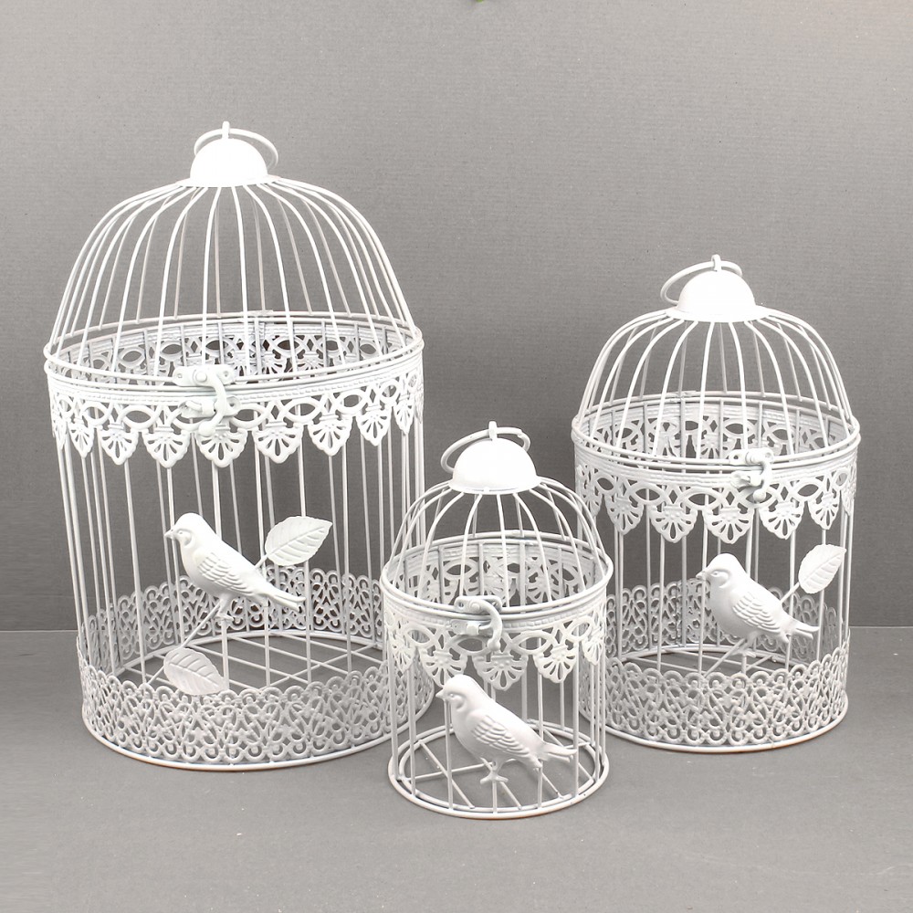 ������������ ��������� ��������� ���������, ��������� �������� ����� ������ ������ ����, ������������ �������. 