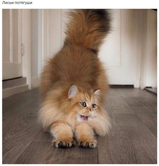 ������� ����