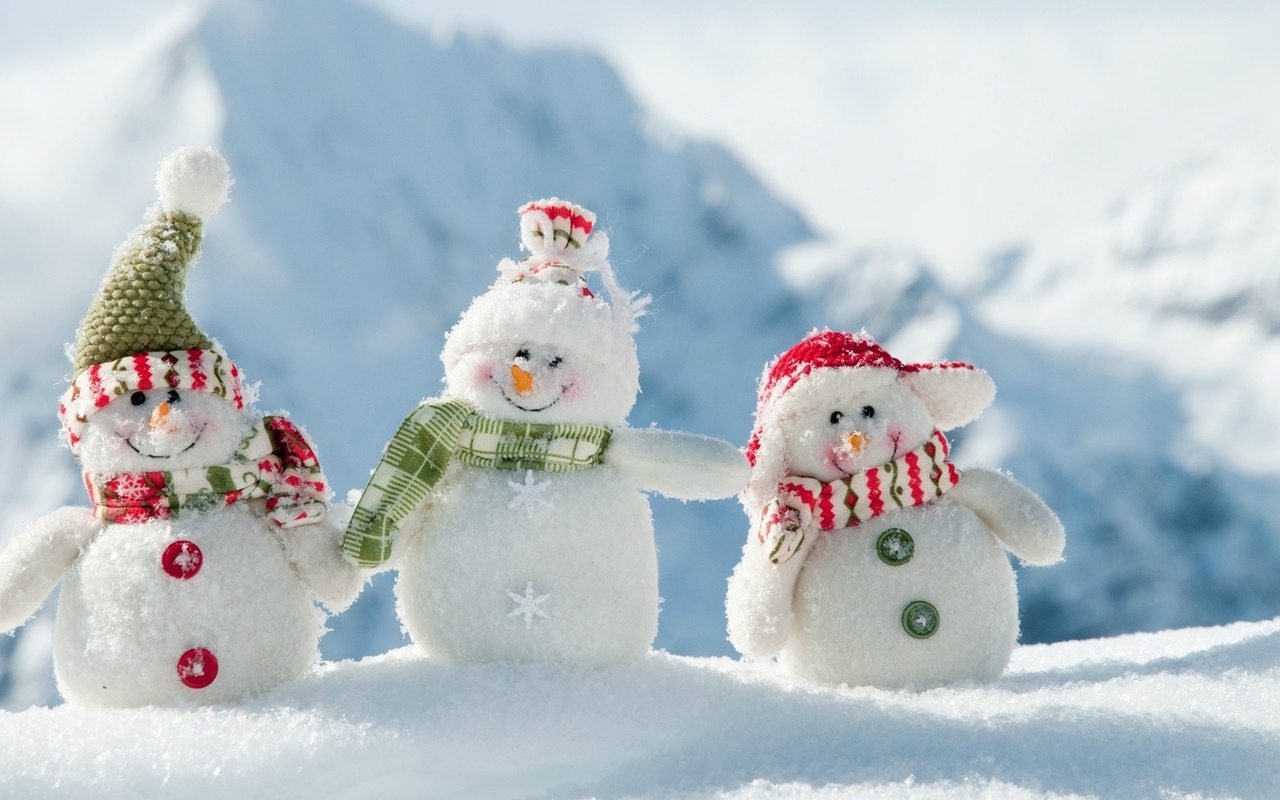 ���������! ��������� ������� � ���� ����!