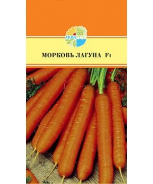 ��������� ����!��������� ���� � ���� ����!