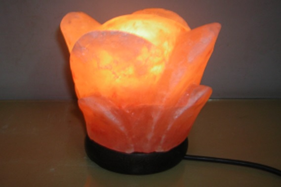 ��������� ����� � ���� ����!  ����� �������! ) ������� �����, ����������, ����������� ���� � ��������������� ������� ������ 