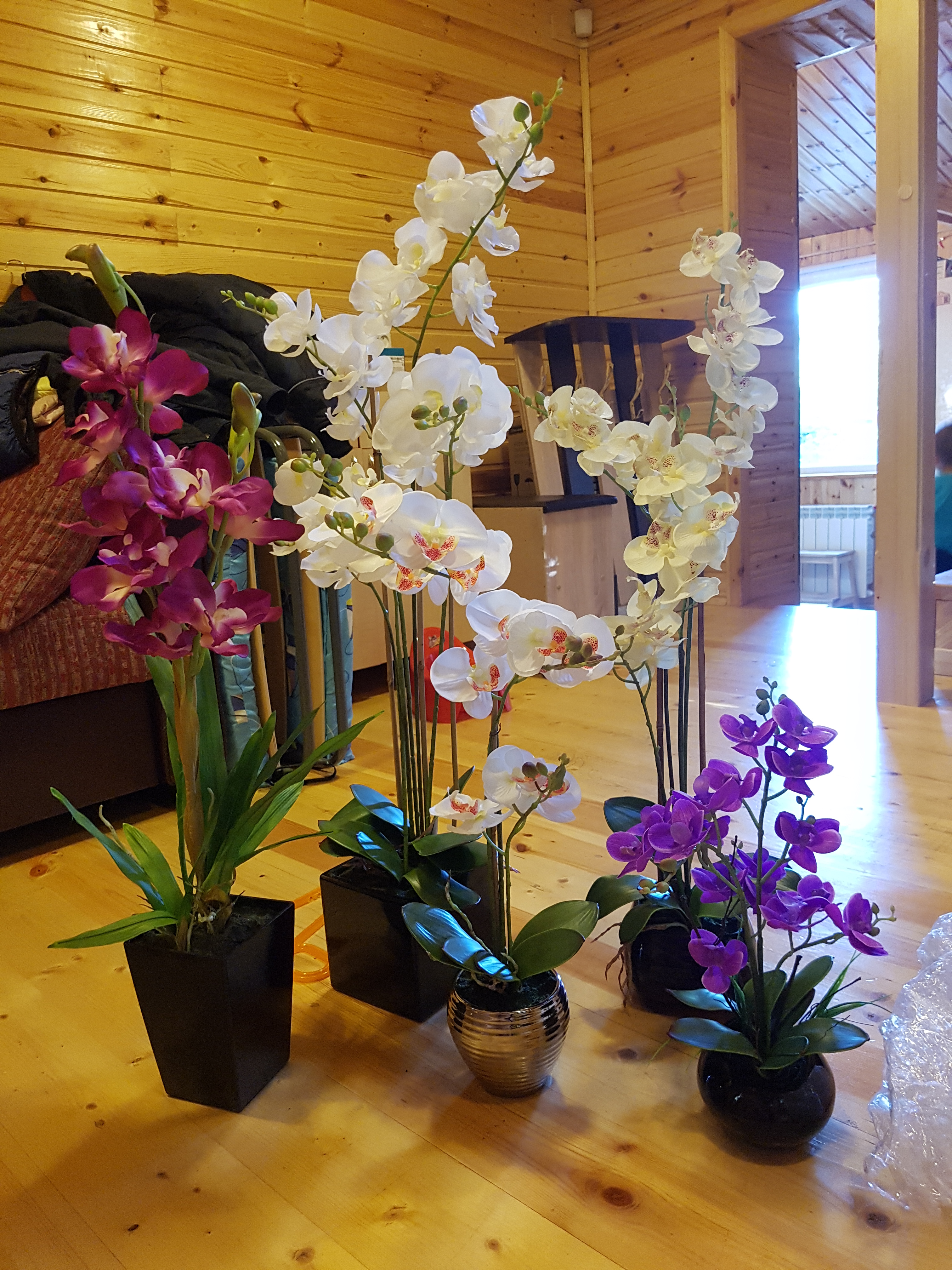 ���� �� 17.12 �_�_�_�_� �� 50%! ������������� ����������!!! ��������� ����������. ������. ��������� �� ��! ������ �������� ������� �� ����� ���!  