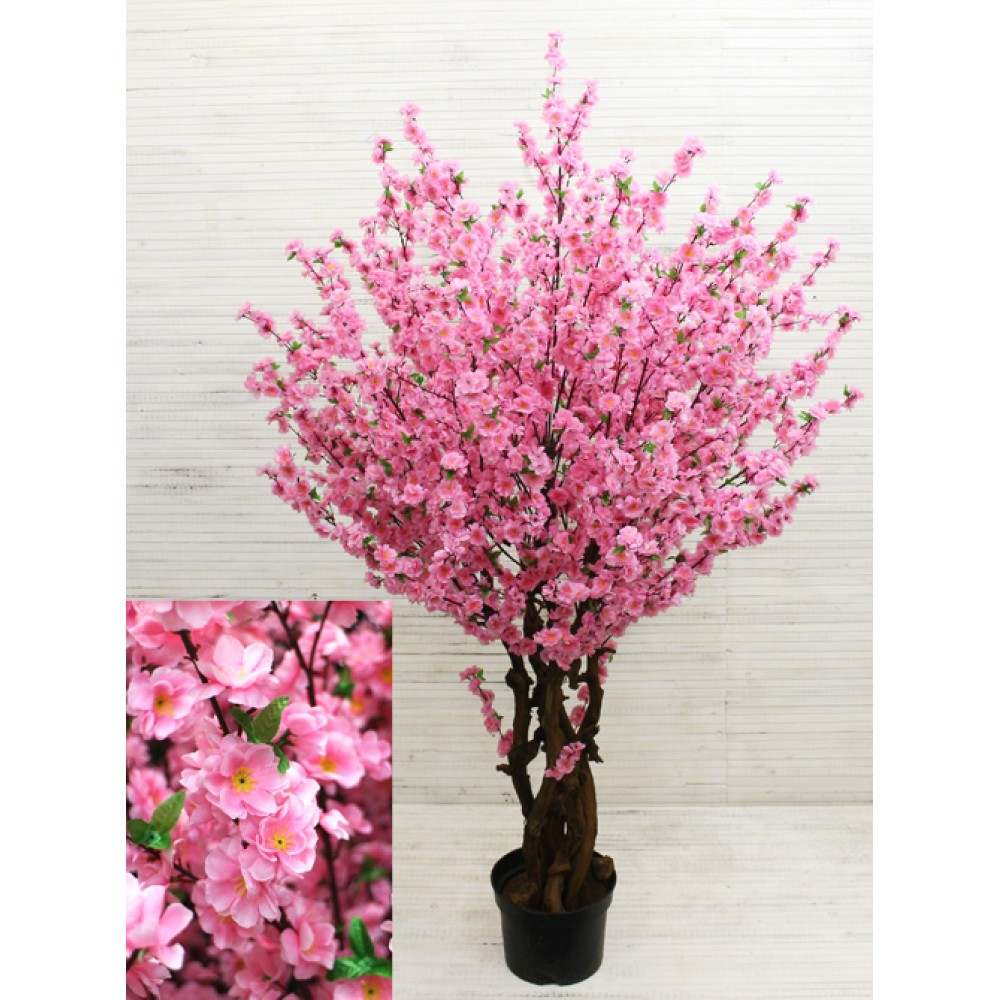 ���� ������� ����� �������� � ����� ����� ����!