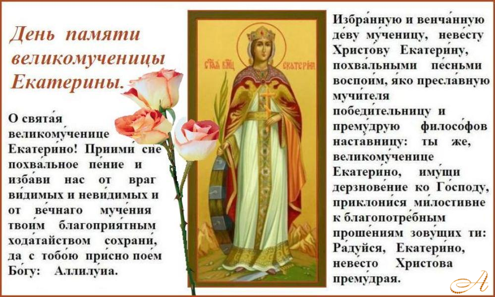 ���������������  ��� !      ����,   �����   �   ������  ������� !