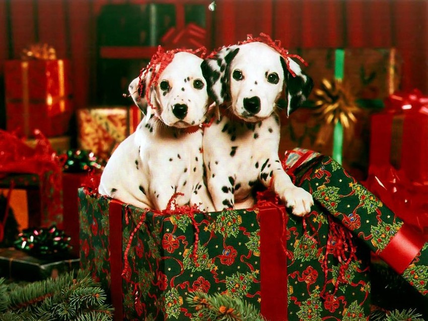 ��� � �������! ������� �������������� �������� ������������� ������ ��