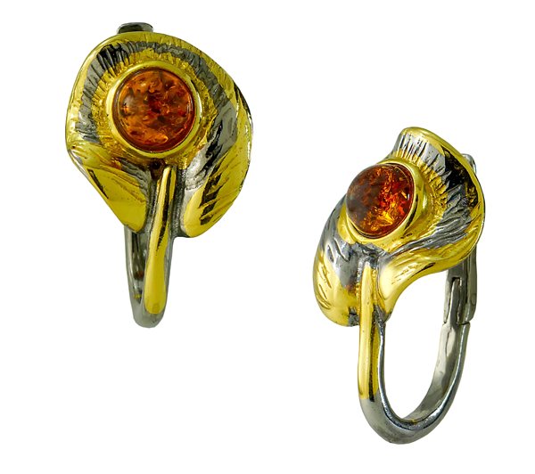 �������� �������. ���� �������������