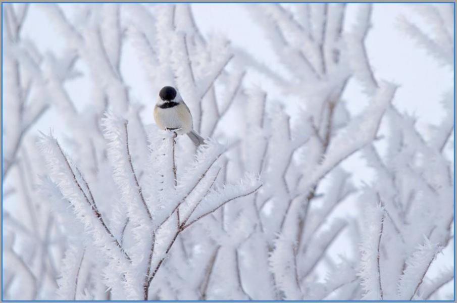 �����  ����,  ����  ���,  �����  ���� !