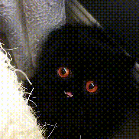 ����� � ������� ���� ����� �������, �������� ������� � �������� �����, ������, �������� ��� � ������ � ��������. ���������, ������?