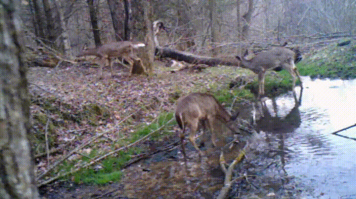 ��� ������ �����