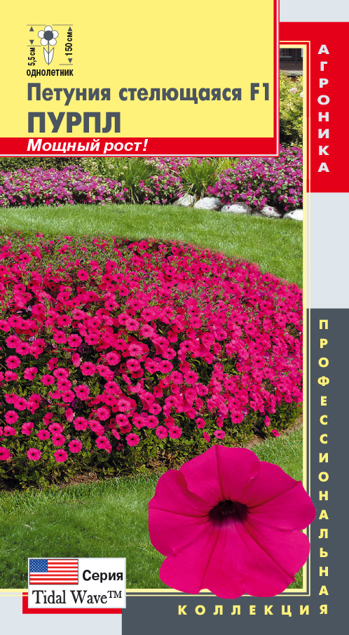 ���� �� 07.01. ���������� ������. ������ � ������ � ����� �������!-13. �������� ������ ������! �������!