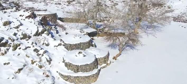 ������ ���� ����� �� ���� (�����)