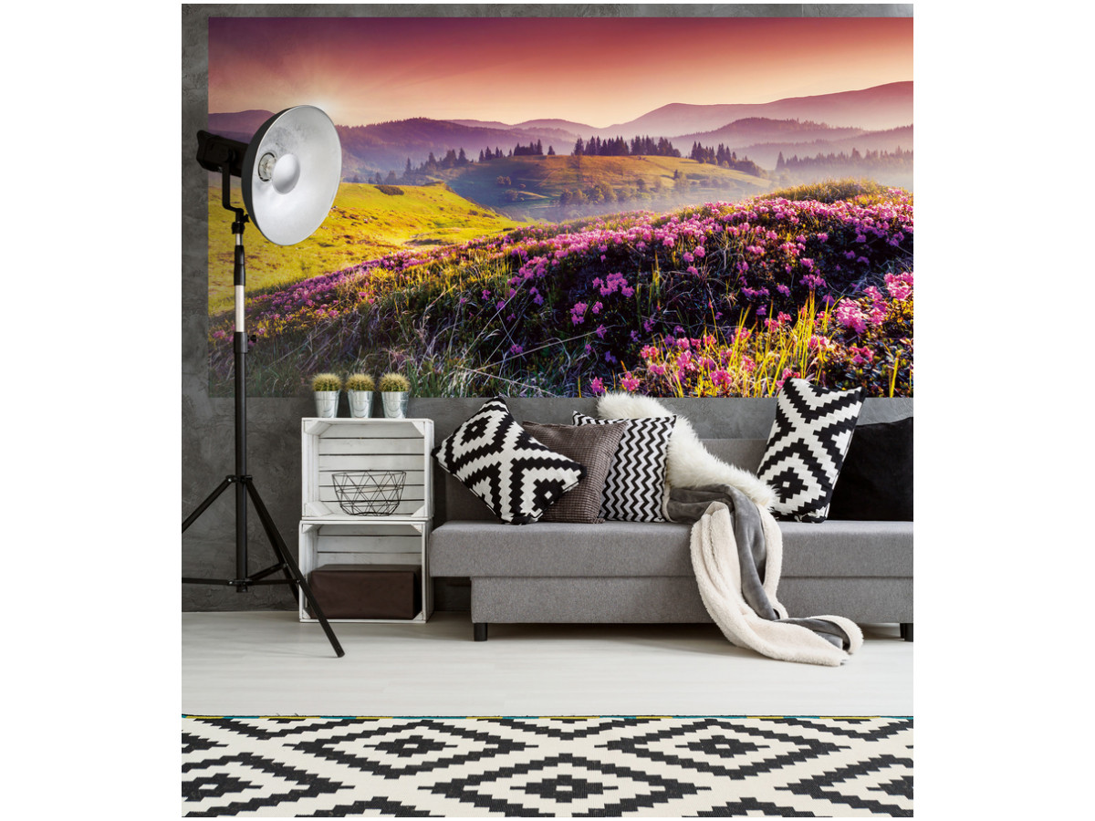 ���� �� 24.12. �������� � ����. ���� ����������! - �������. ������� �� ��!