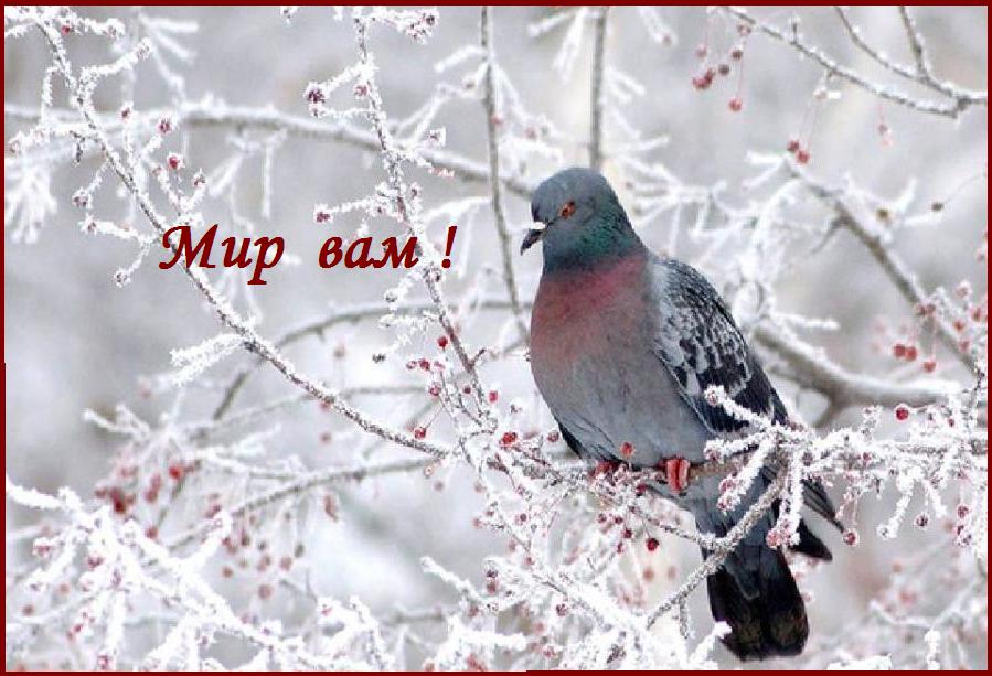 ��� ��� !