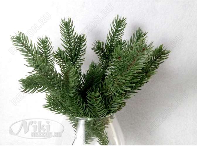 ������� ������������ ��������� ���� ������ ������. ��� � �������.