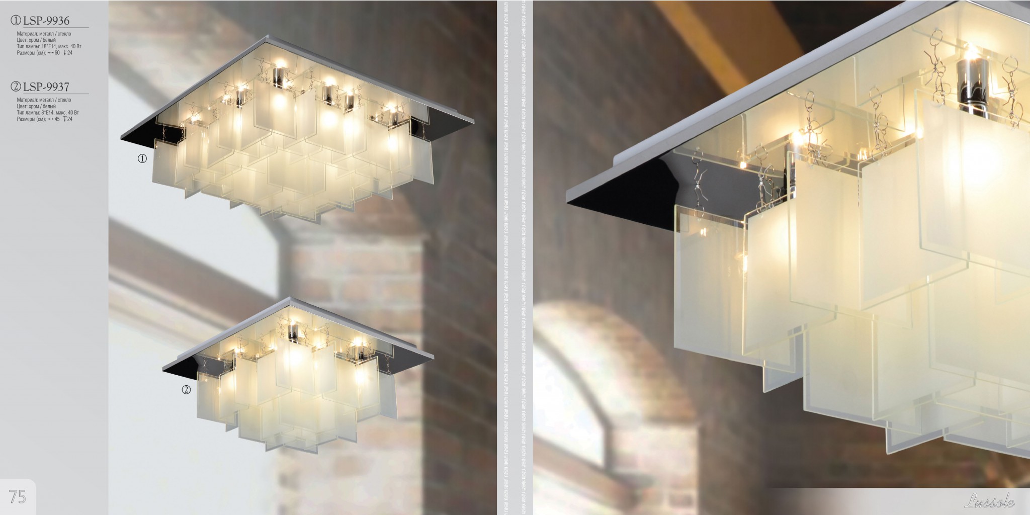 ���� �� 24.12. ����������� Lus**sole!����������! - �������