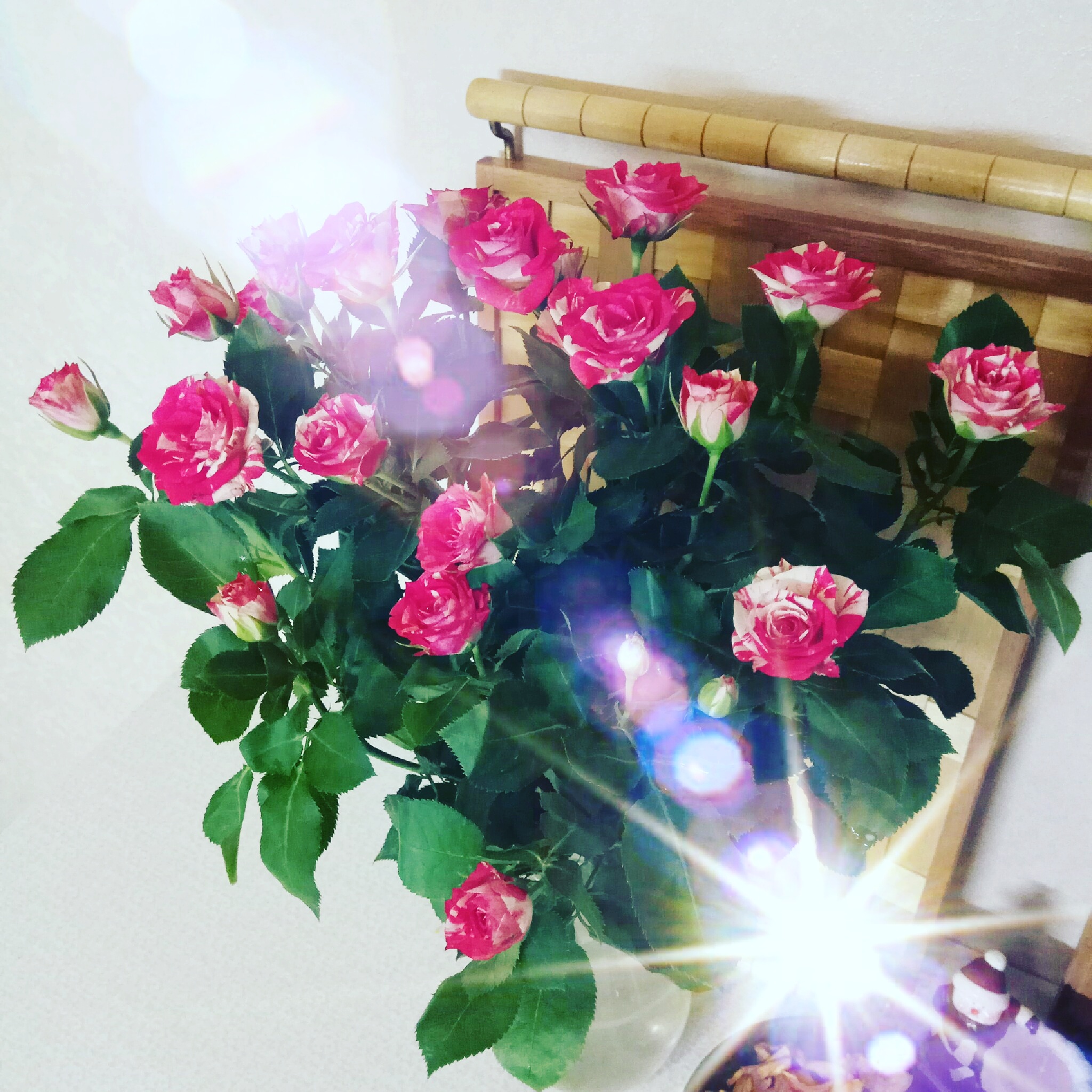 ������ ����� 14-�� ����� 😘 #�ϣ #��� #������� #����� #�������� #����� #�������_�����_� #petrova_maria_n 