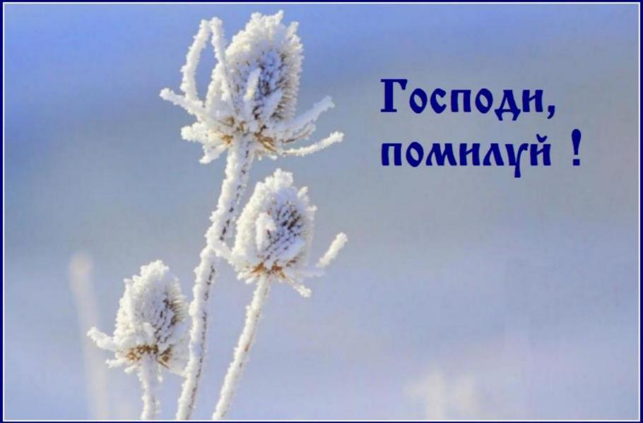 �������,  ����������  �  �������  ��� !  