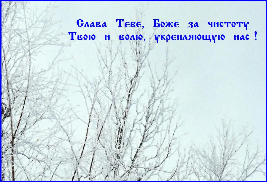 �����  ����,  ����  ���,  �����  ���� !