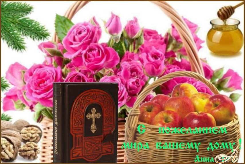 ��������������  ���� !