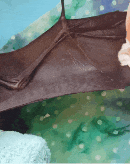 ��� ������ ������� ������?