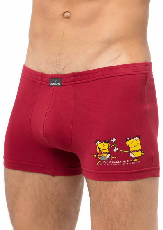 ����� ������� Pant**elemone � ���������� �������-������� � �������.������� � ��� ��������.